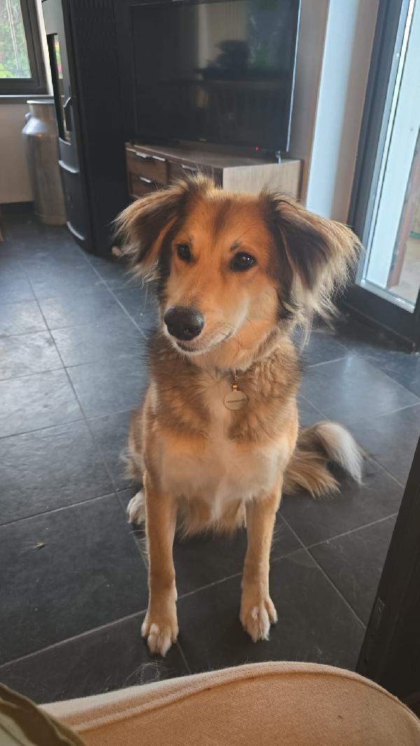 ✨ Maggie, la forza di chi ha conosciuto il dolore ma sogna solo amore ✨ Foto 10